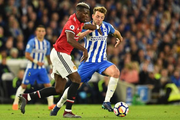 情感的节日 情感的节日