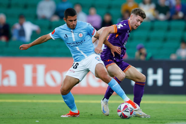 他们的阅历 他们的阅历